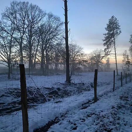 A&c Bergen Apartment Luckau